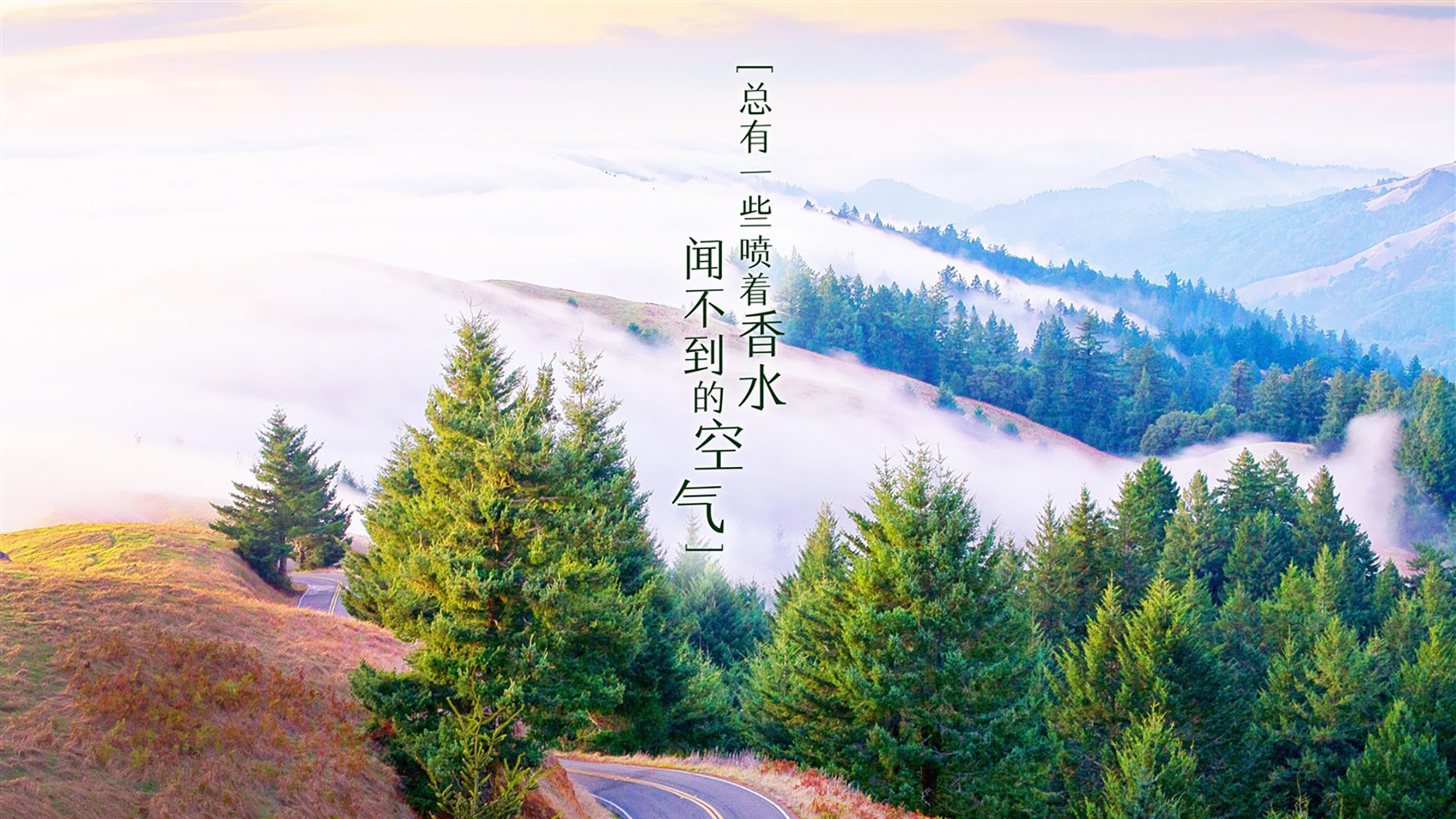“未来之星:全国青少年足球明星比赛火爆举行”,2021足球未来之星