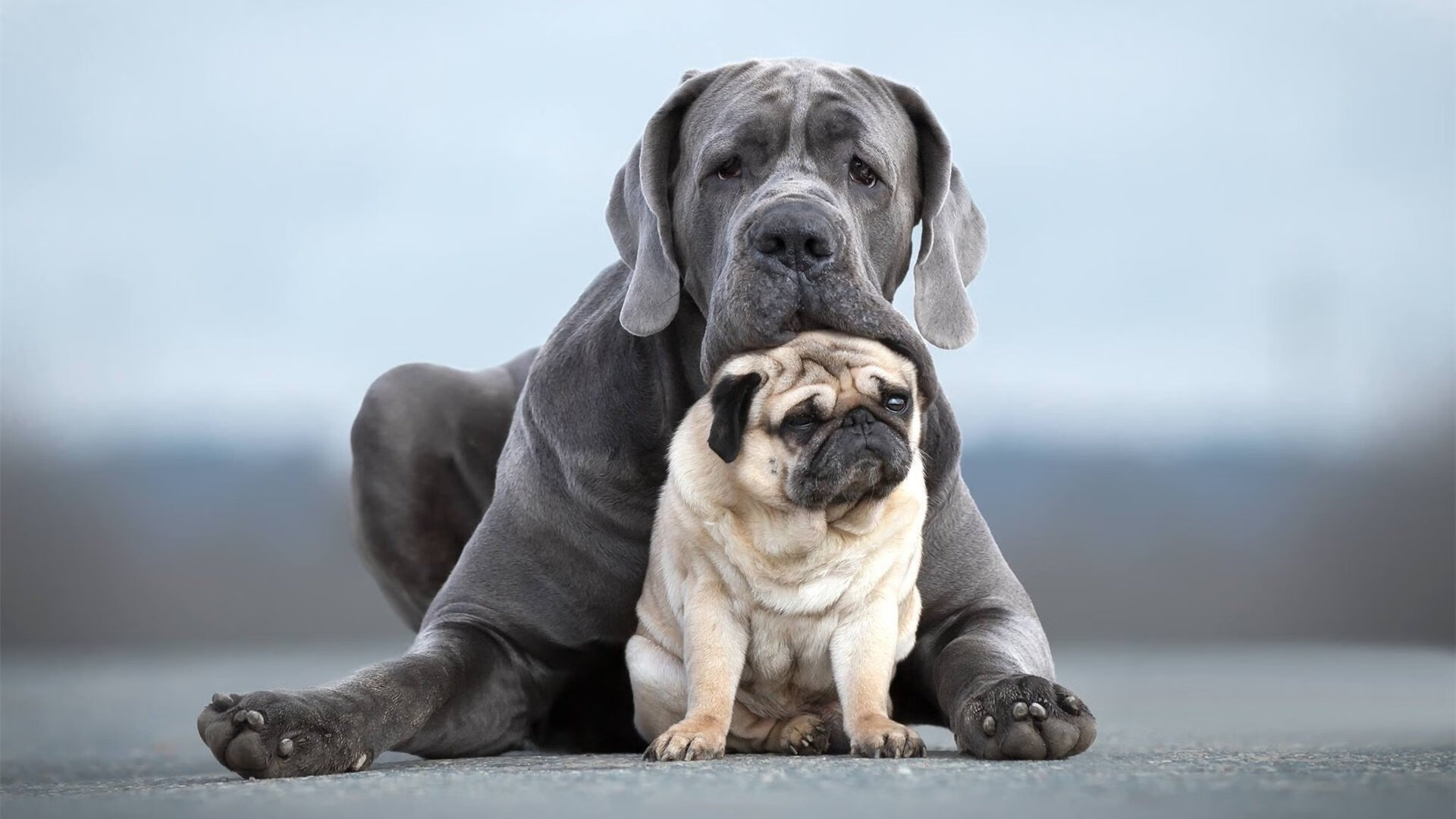 《电竞海外传播：国内战队走向国际舞台》，对比国外电竞发展,中国电竞未来的发展趋势是什么