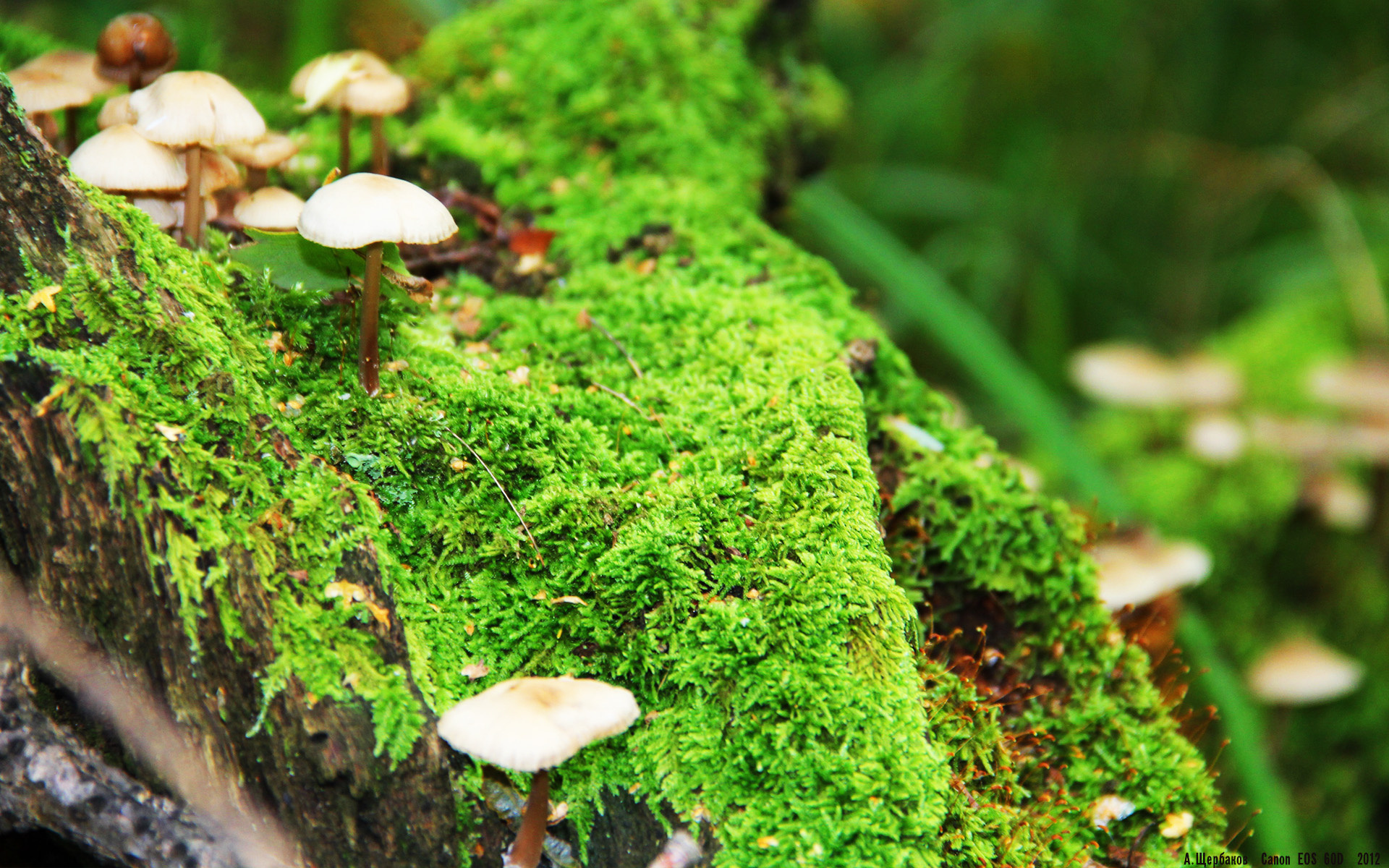 全国篮球联赛精彩纷呈,赛事覆盖更多城市,全国篮球大赛