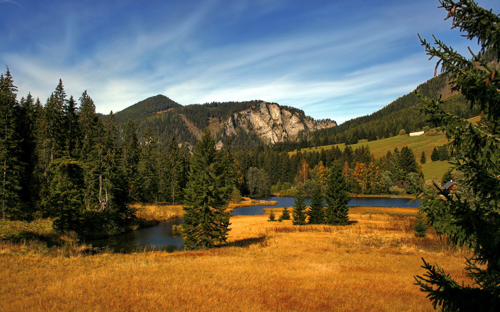 全国青少年“创新青训”产业联盟在上海正式成立，推动行业繁荣发展