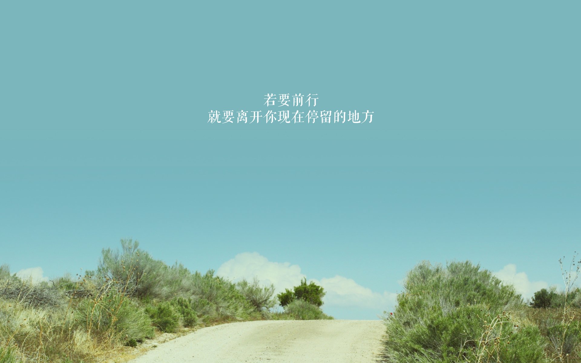 九游体育_ 德甲联赛传递绿色环保理念，竞技之余注重可持续发展