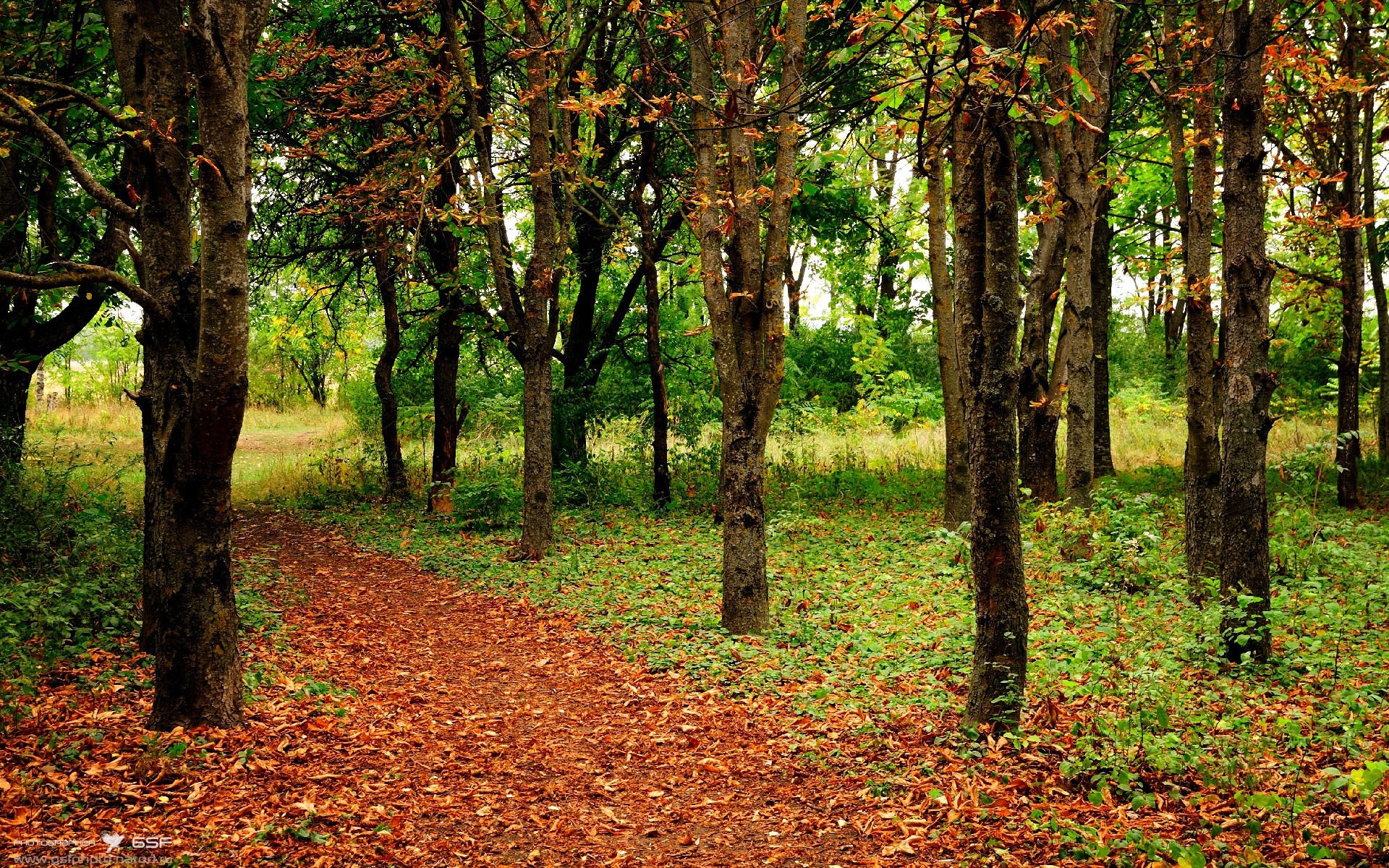 开云体育登录网站入口-史上“最精彩”的团队协作，战术大师的完美展示！，团队战sl